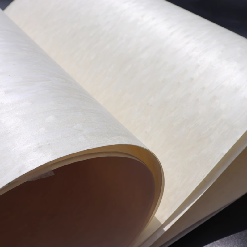 Furniturka ALPi White Cat's Ey – Interior Design Tech recenzja i cena